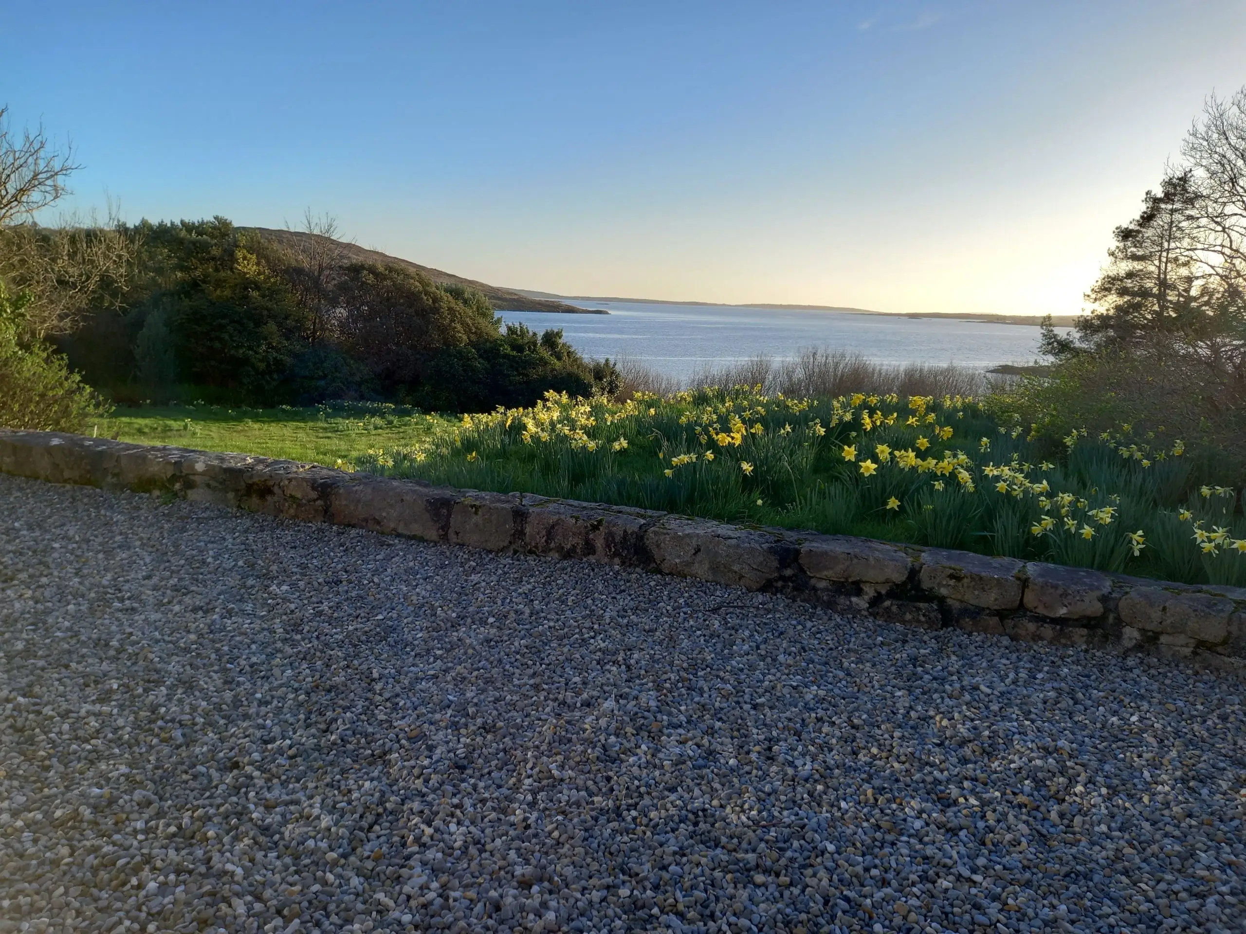 Sixty acres of gardens & shoreline