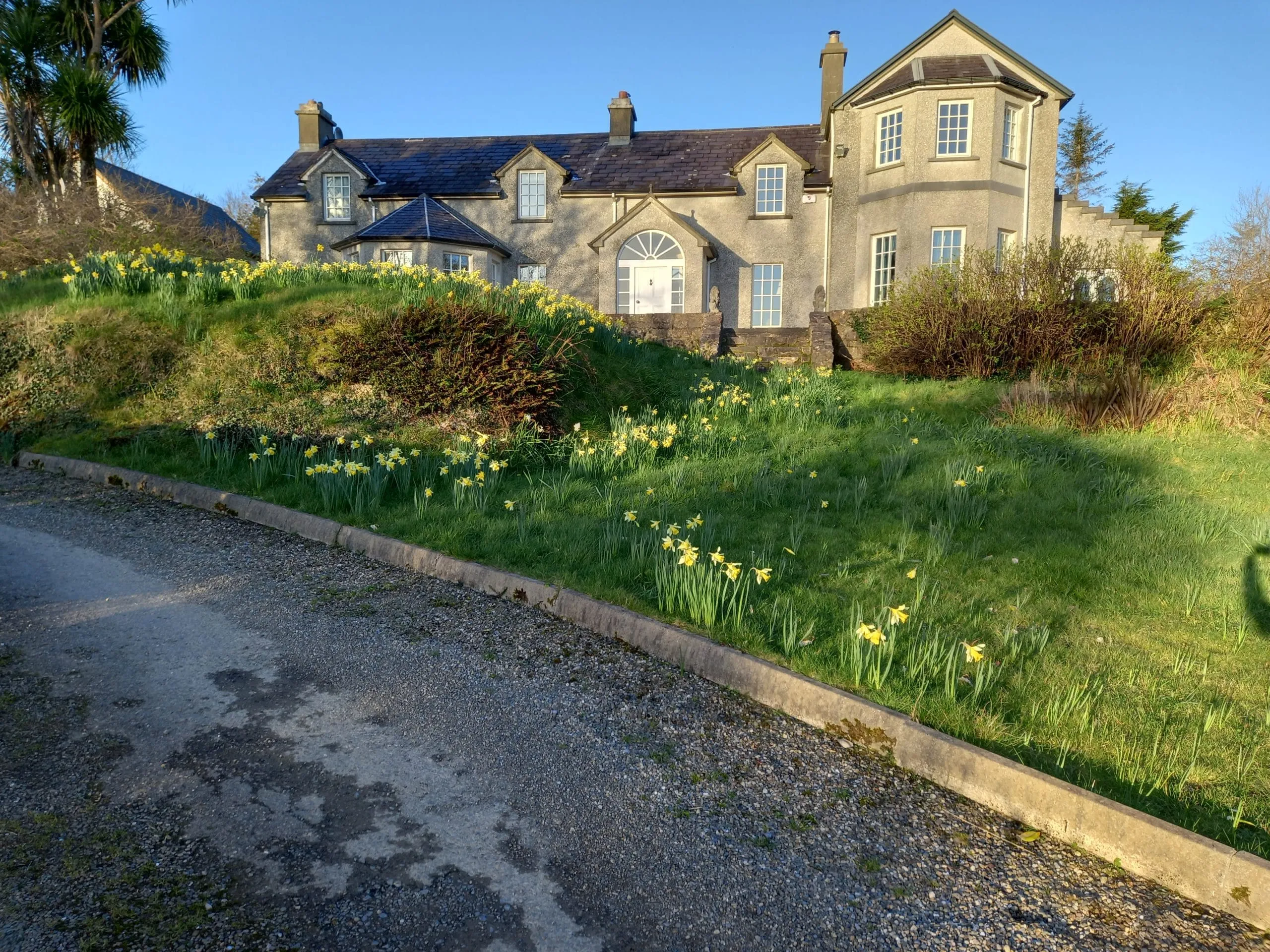 The House