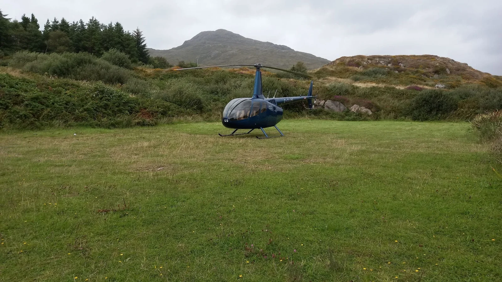 The estate's helipad